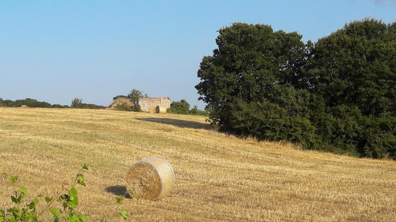 Casa Mario Villa Cisternino Buitenkant foto